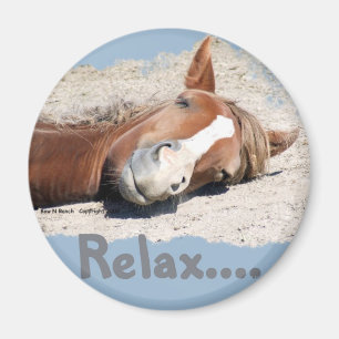 Funny Horse: Relax Magnet