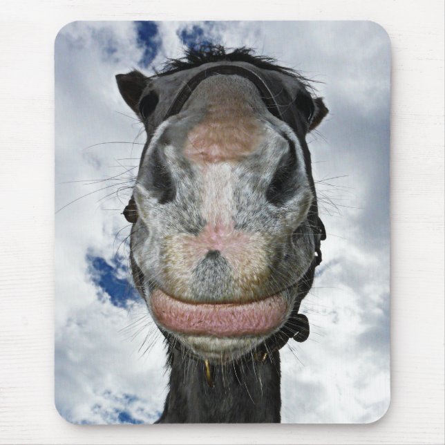 Funny Horse Smiles Mouse Mat (Front)