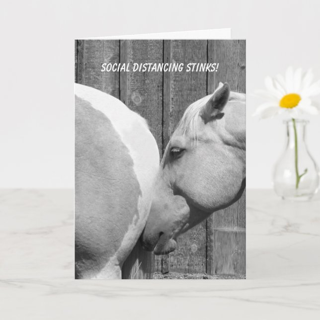Funny Horse Stinks Social Distancing Missing You Card (Small Plant)