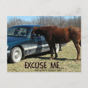 Funny Horse with car Excuse Me Postcard