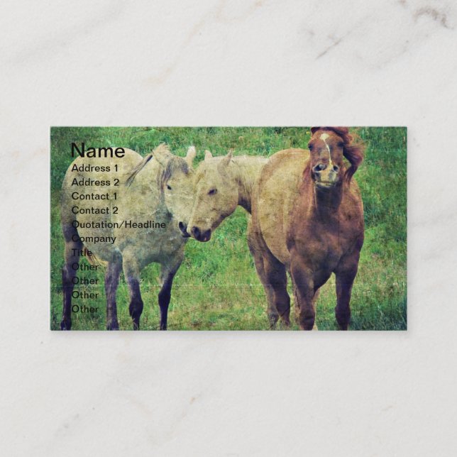 Funny Horses Business Card (Front)
