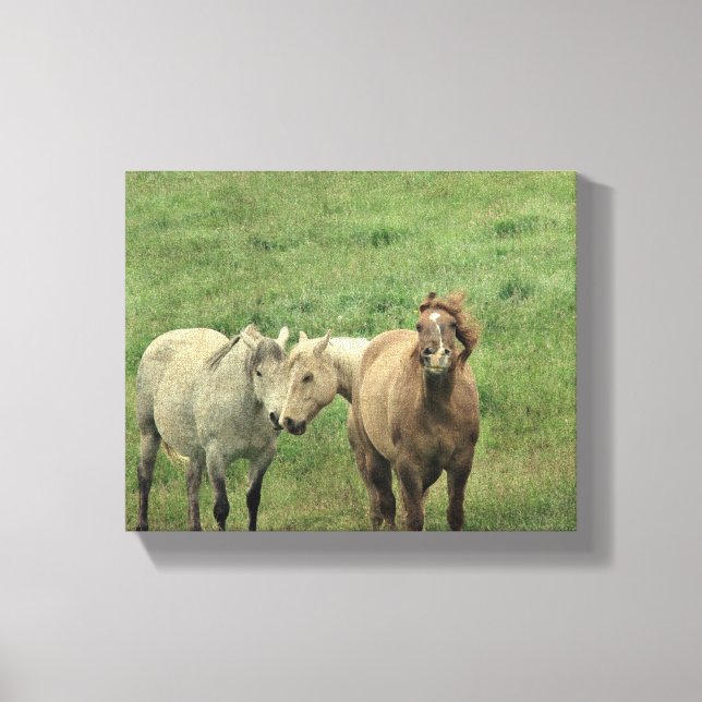 Funny Horses Canvas Print (Front)