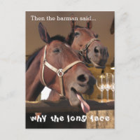 Funny Horses Long Face Animal Caption