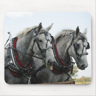 Funny Horses Mouse Mat