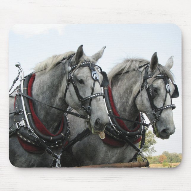 Funny Horses Mouse Mat (Front)