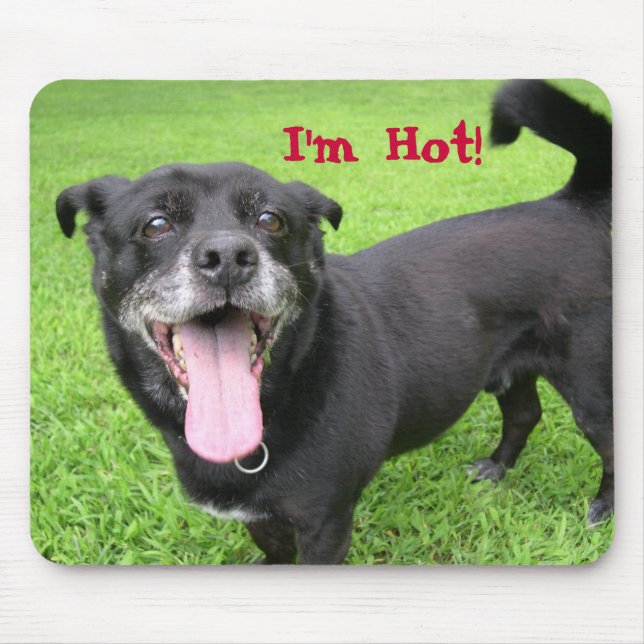 Funny Hot Dog Mouse Pad (Front)