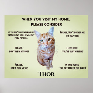 Funny House Rules (personalised with cat's photo) Poster