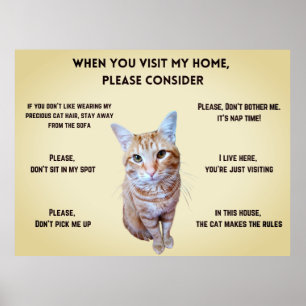 Funny House Rules personalised with cat's photo Poster