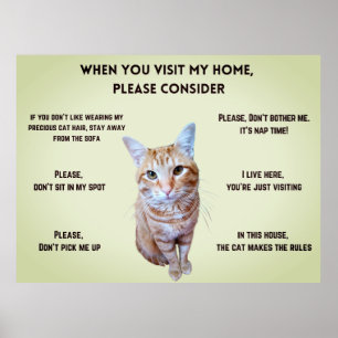Funny House Rules (personalised with cat's photo) Poster