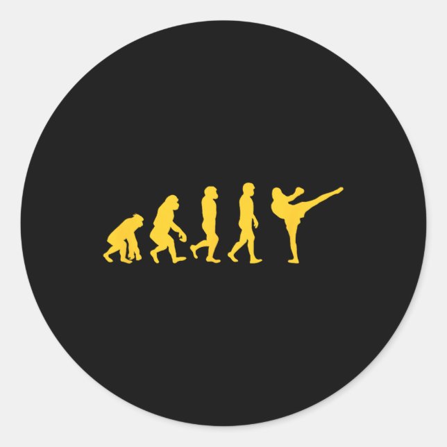 Funny Human Ape Gorilla Evolution Karate Boxing Ki Classic Round Sticker (Front)