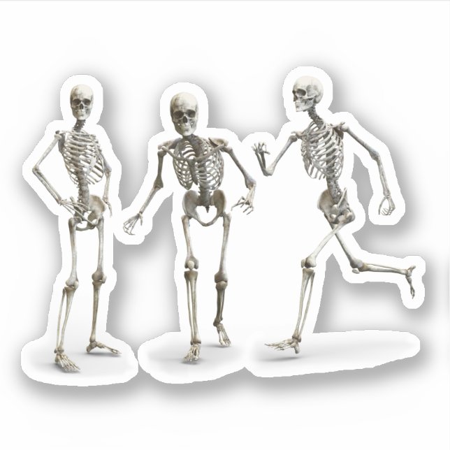 Funny Human Skeleton in Motion Effect (Front)