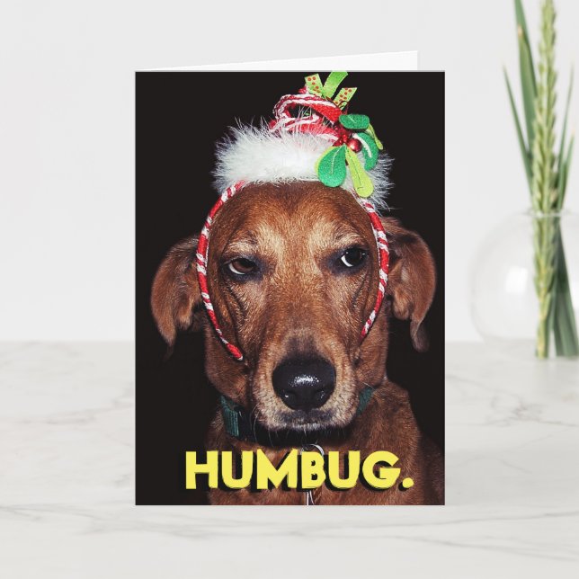 Funny HUMBUG dog Christmas Card (Front)