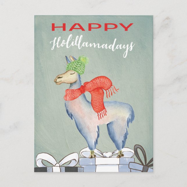 Funny Humour Cute Llama Holiday Postcard (Front)