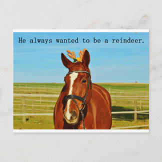 Funny Humour Horse Reindeer Christmas Xmas Holiday Postcard