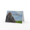 Funny Humourous Ape Gorilla Getting Old