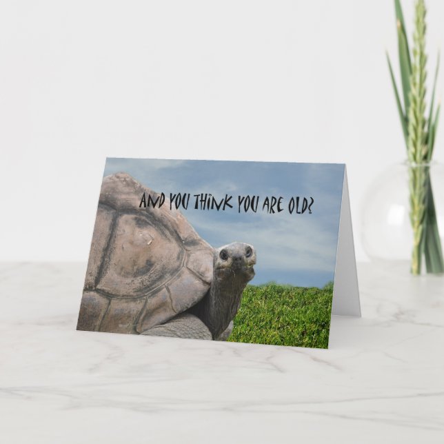 Funny Humourous Giant Sea Turtle Happy Birthday Card (Front)