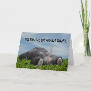 Funny Humourous Monkey Miss You Card