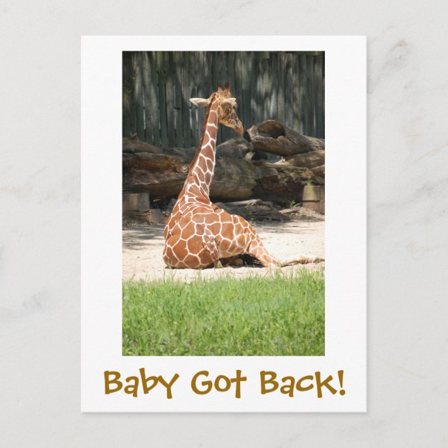 Funny Humourous Postcard (Front)