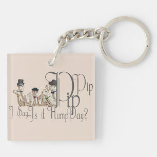 Funny Hump Day Camels  in Monocles Key Ring