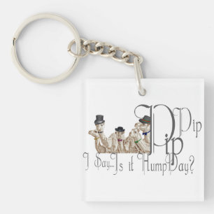Funny Hump Day Camels  in Monocles Key Ring