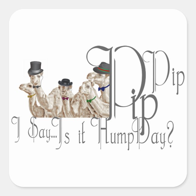 Funny Hump Day Camels  in Monocles Square Sticker (Front)