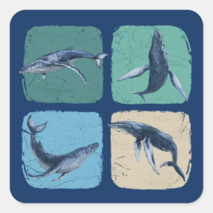 Funny Humpback Whale Watching Square Sticker