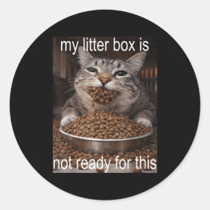 Funny hungry cat meme before the litter box chaos classic round sticker