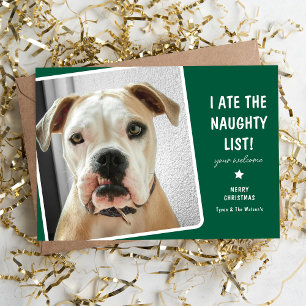 Funny I ate the Naughty List Cute Dog  Holiday Card