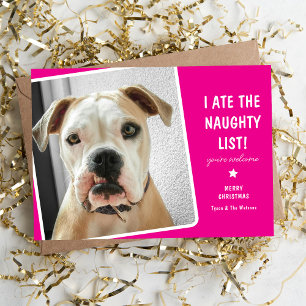 Funny I ate the Naughty List Cute Dog  Holiday Card