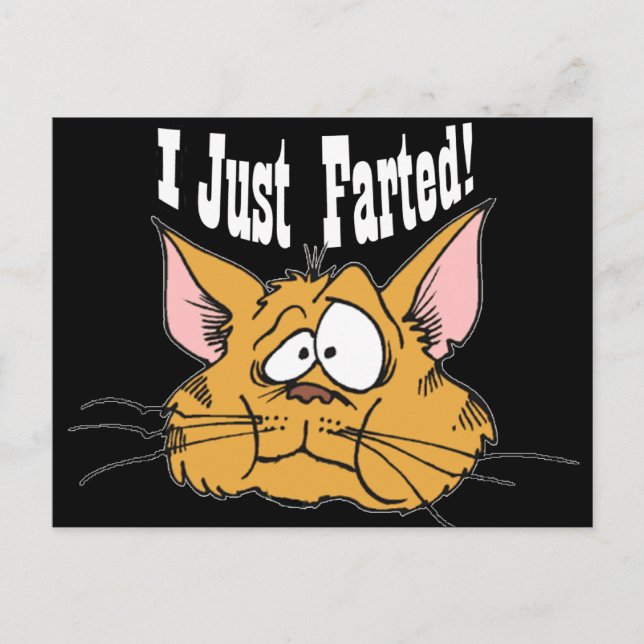Funny I Just Farted Rude Gifts Postcard (Front)
