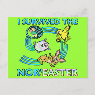 Funny I Survived the Nor'Easter Holiday Postcard