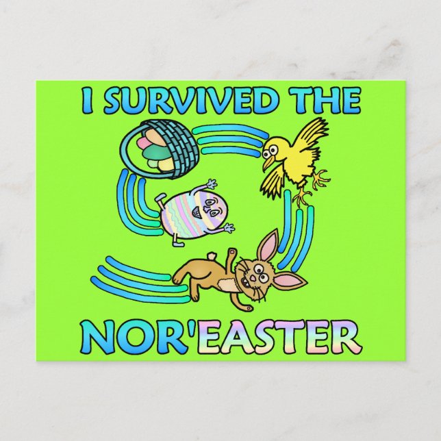 Funny I Survived the Nor'Easter Holiday Postcard (Front)