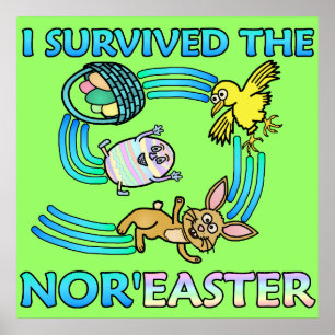 Funny I Survived the Nor'Easter Poster