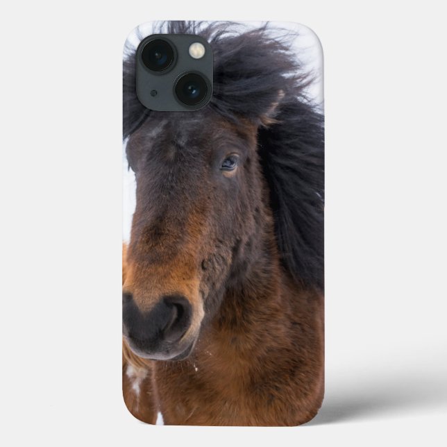 Funny Icelandic Horse Portrait Case-Mate iPhone Case (Back)