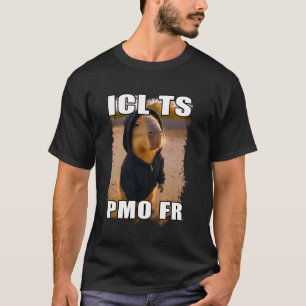 Funny ICL TS PMO FR Ironic Capybara Meme Brainrot  T-Shirt