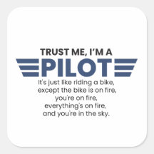 Funny I'm a Pilot Quote