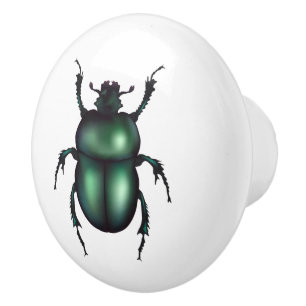 Funny Insect Ceramic Knob