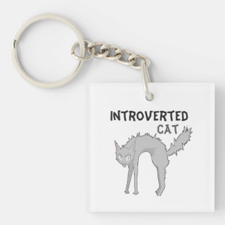 Funny introverted cat keychain | friend gift