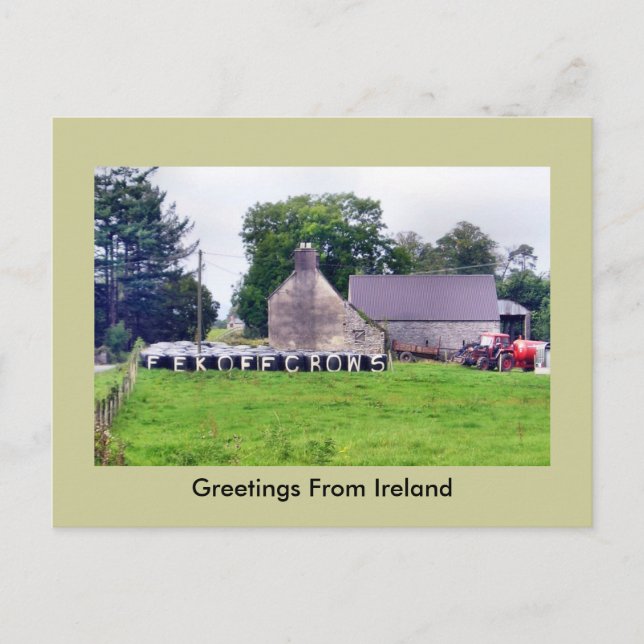 Funny Irish Scarecrow Postcard (Front)