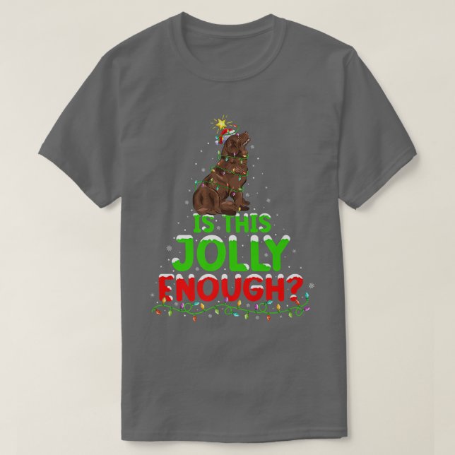 Funny Is This Jolly Enough Newfoundland Dog Christ T-Shirt (Design Front)