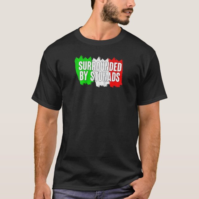 Funny Italian Surrounded By Stunads Italy Flag Say T-Shirt (Front)