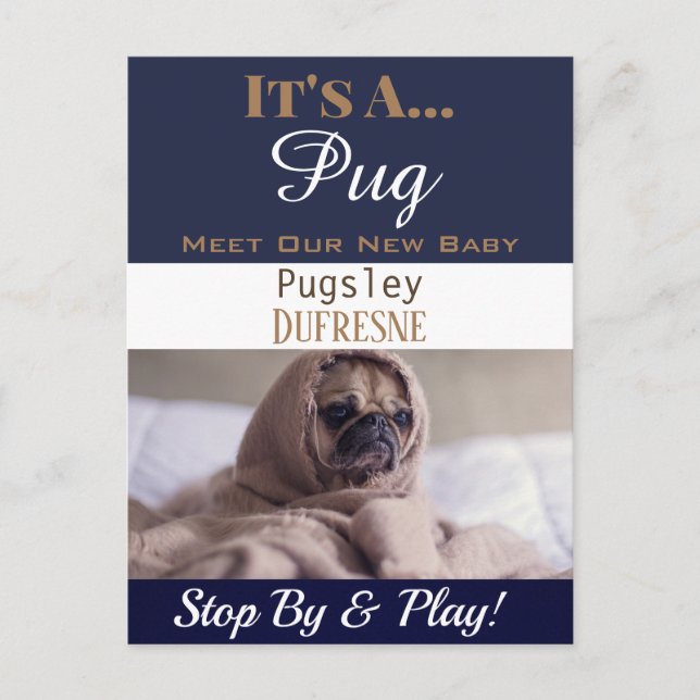 Funny "It's A" New Pet Announcement Postcard (Front)