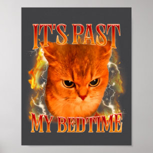 Funny It's Past My Bedtime Cat Meme Animals Humor  Poster