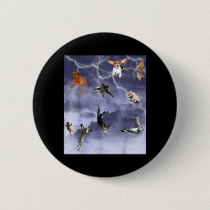 Funny Its Raining Cats And Dogs 6 Cm Round Badge