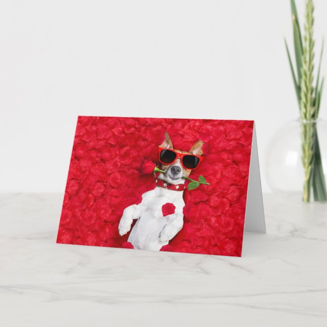 Funny Jack Russel Dog Valentines Day Card (Front)