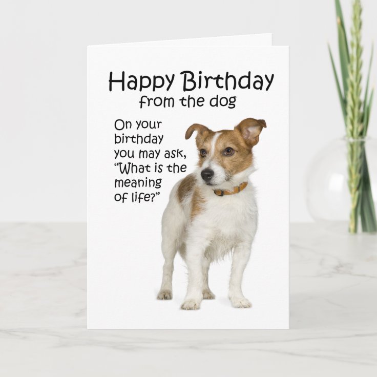 Funny Jack Russell Terrier Birthday Card | Zazzle