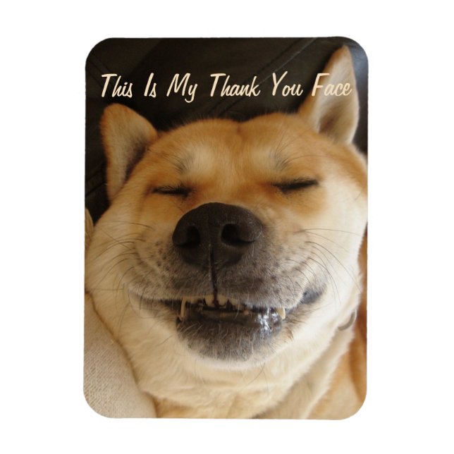 funny Japanese akita with cute smile thank you Magnet (Vertical)