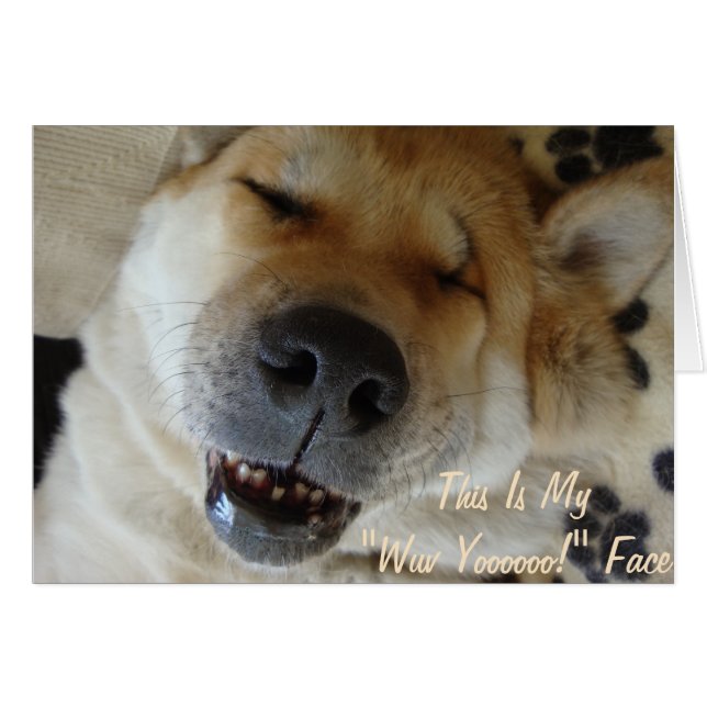 funny japanese akita with goofy smile cute dog (Front Horizontal)