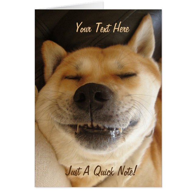 funny japanese akita with goofy smile photo (Front)
