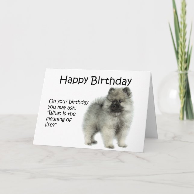 Funny Keeshond Puppy Birthday Card (Front)